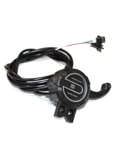 Wyświetlacz z manetką EY4 Minimotors do Dualtronon 2