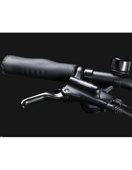 Rower elektryczny Jobobike Ace