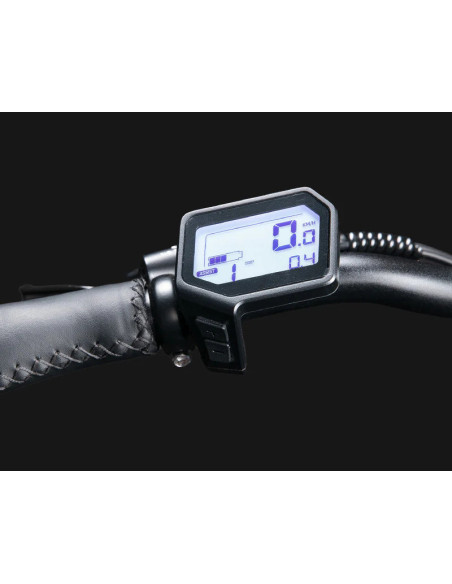 Rower elektryczny Jobobike Ace