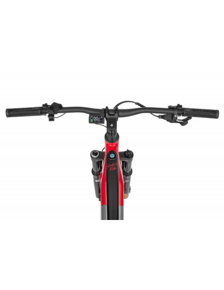 Rower elektryczny Ecobike RX 500 Red