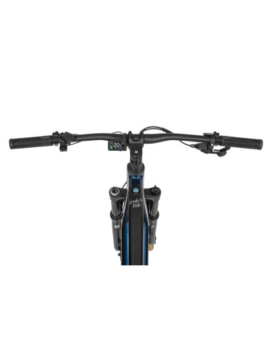 Rower elektryczny Ecobike RX 500 Blue