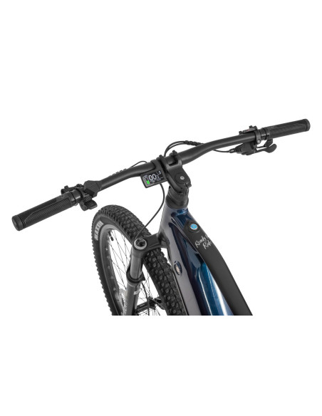 Rower elektryczny Ecobike RX 500 Blue