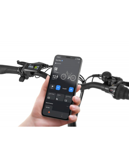 Rower elektryczny składany Ecobike Rhino Black