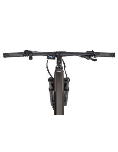 Rower elektryczny Ecobike SX 300 Copper Black