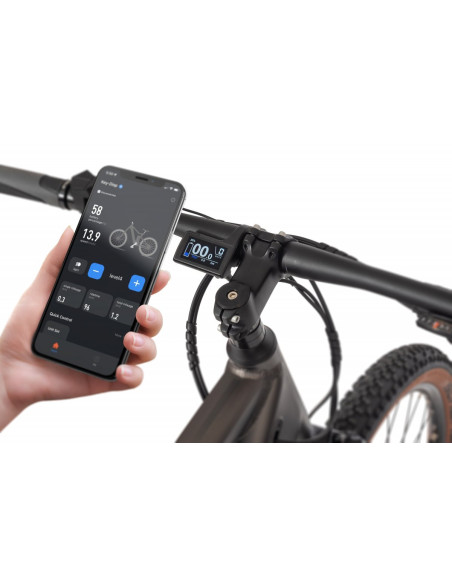 Rower elektryczny Ecobike SX 300 Copper Black