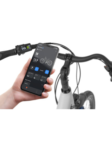 Rower elektryczny Ecobike LX 100 White