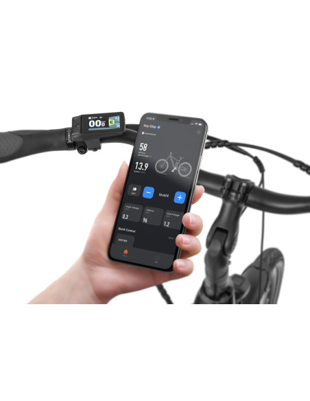 Rower elektryczny Ecobike LX 100 Black