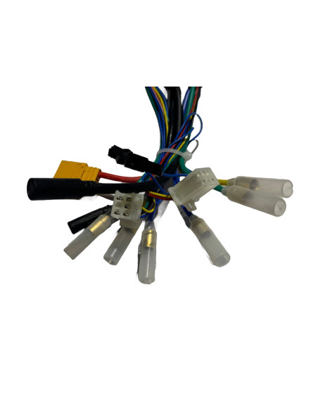 Kontroler Sterownik do Joyor S10 z kierunkowskazami