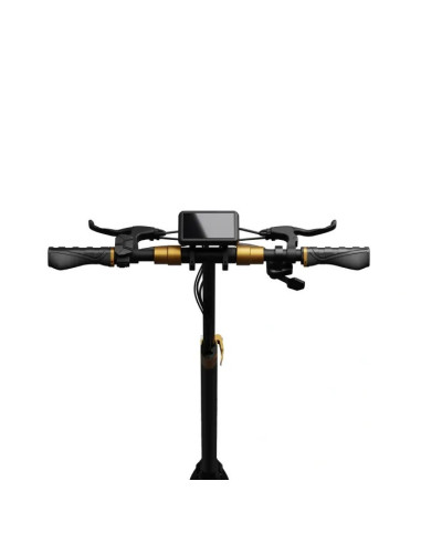 Hulajnoga elektryczna Ruptor R1 Lite V2 Miedziany