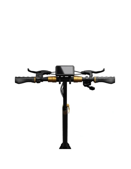 Hulajnoga elektryczna Ruptor R1 Lite V2 Miedziany