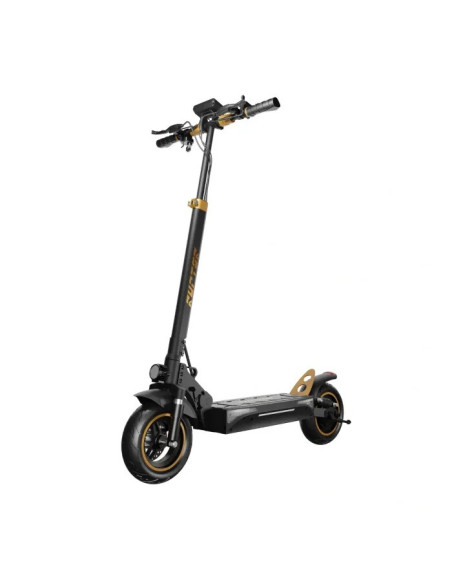 Hulajnoga elektryczna Ruptor R1 Lite V2 Miedziany