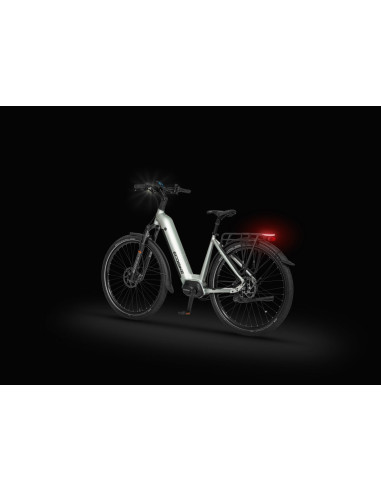 Rower elektryczny Ecobike LX 400