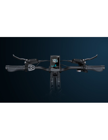 Rower elektryczny ENGWE L20 3.0 Pro