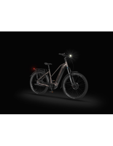 Rower elektryczny Ecobike Dare