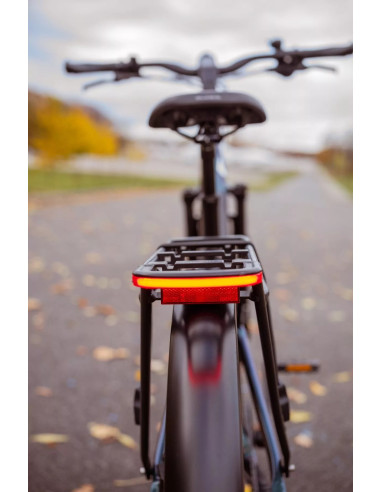 Rower elektryczny Overfly Artemis 19"