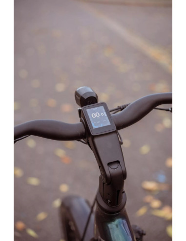 Rower elektryczny Overfly Artemis 19"