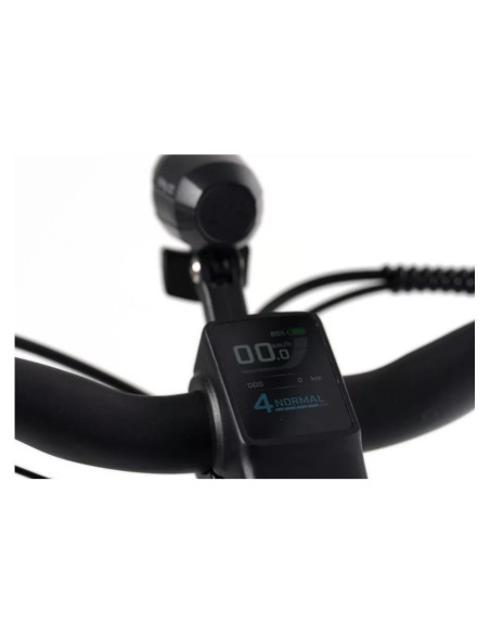 Rower elektryczny Overfly Artemis 17" + GPS