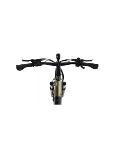 Rower elektryczny Overfly Artemis Neo + GPS | Oliwkowy 2