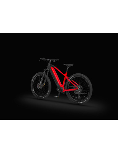 Rower elektryczny Ecobike RX 500 Black Red
