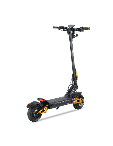 Hulajnoga Elektryczna Hiley Tiger 10 V5 Performance