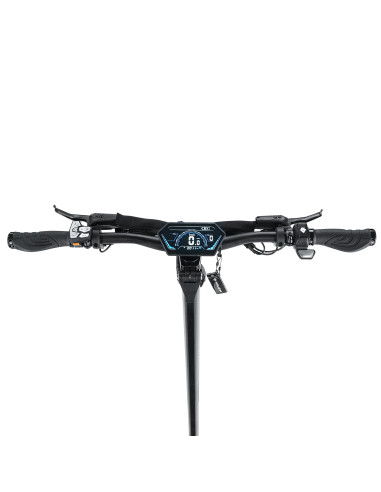 Hulajnoga Elektryczna Hiley Tiger 10 V5 Performance