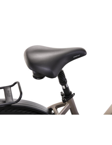 Rower elektryczny ROMET E-MODECO URB 2.0 725WH | Szampański7