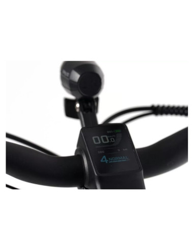 Rower elektryczny Overfly Artemis 17" + GPS | Fioletowy