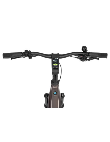 Rower elektryczny Ecobike MX 300 Golden Grey