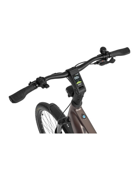 Rower elektryczny Ecobike MX 300 Golden Grey