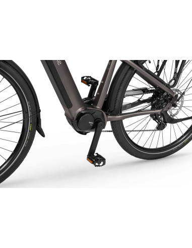 Rower elektryczny Ecobike MX 300 Golden Grey