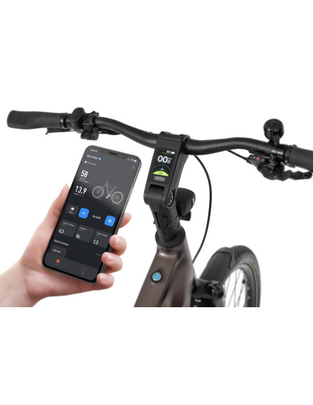 Rower elektryczny Ecobike MX 300 Golden Grey