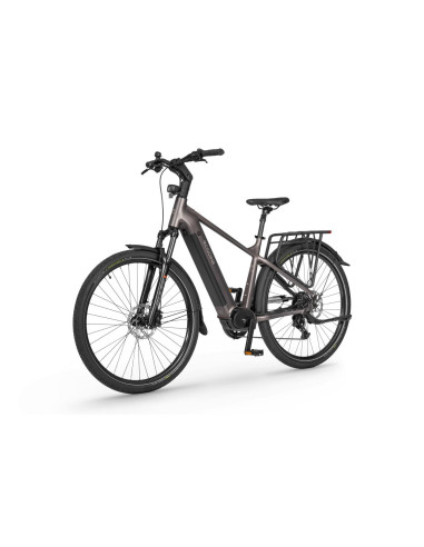 Rower elektryczny Ecobike MX 300 Golden Grey