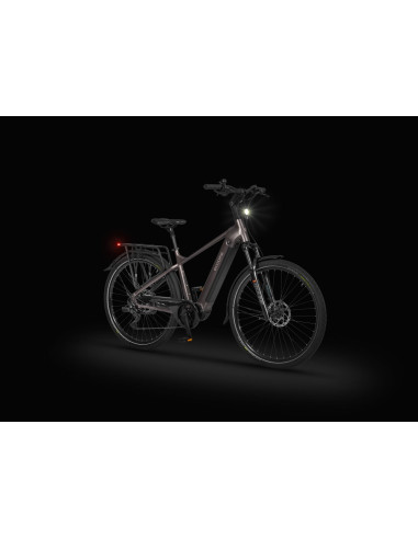 Rower elektryczny Ecobike MX 300 Golden Grey