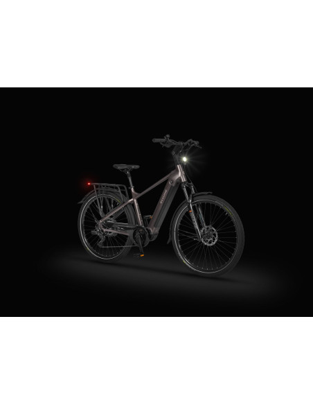 Rower elektryczny Ecobike MX 300 Golden Grey