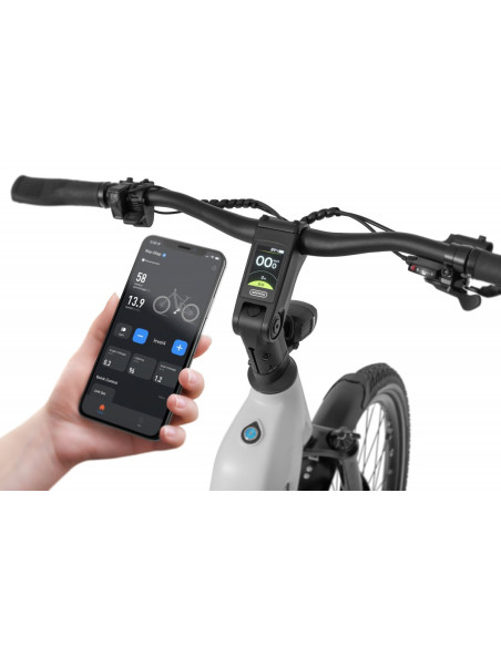 Rower elektryczny Ecobike LX 300 White