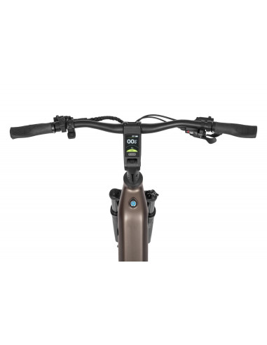 Rower elektryczny Ecobike LX 300 Onyx