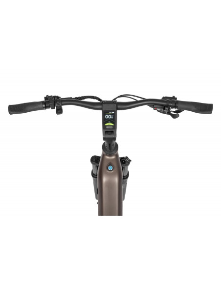 Rower elektryczny Ecobike LX 300 Onyx