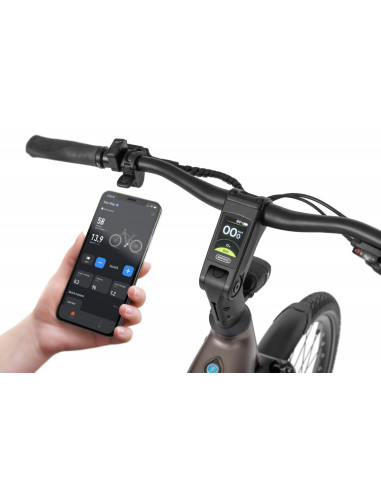 Rower elektryczny Ecobike LX 300 Onyx