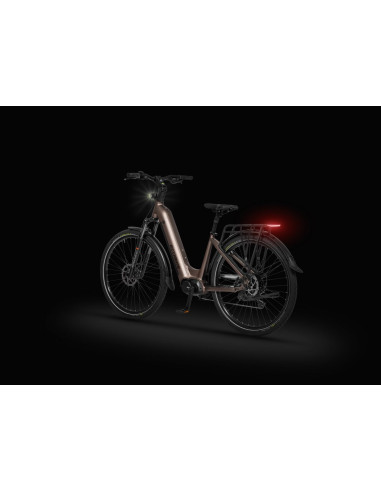 Rower elektryczny Ecobike LX 300 Onyx