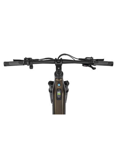 Rower elektryczny Ecobike SX 300 Green