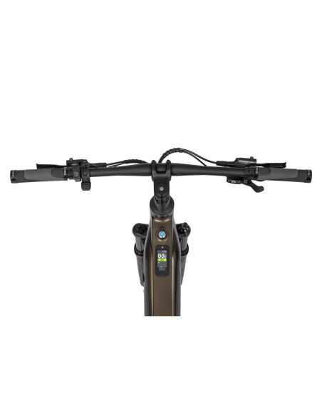 Rower elektryczny Ecobike SX 300 Green