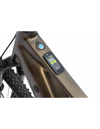 Rower elektryczny Ecobike SX 300 Green