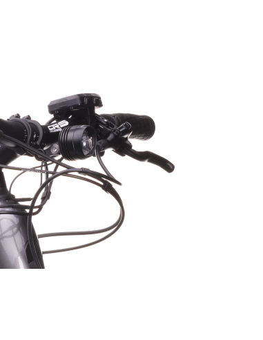 Rower elektryczny Crussis e-Savela 9.11 715Wh