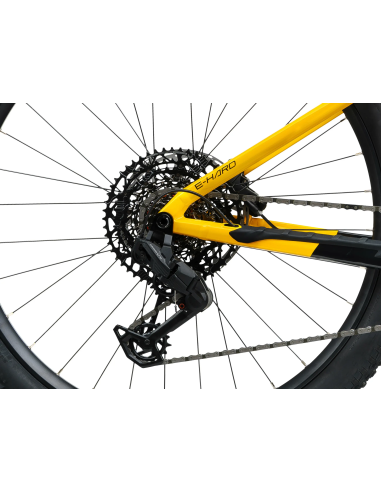 Rower elektryczny Crussis e-Hard 11.11 600Wh