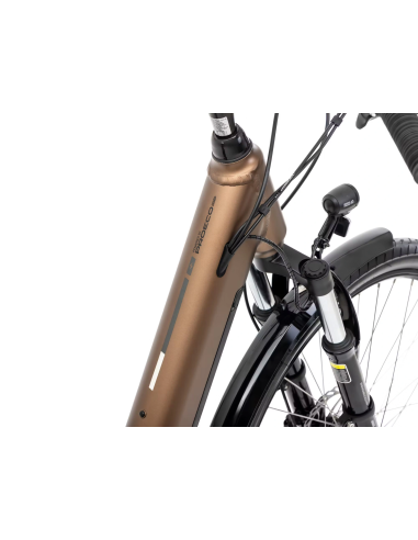 Rower elektryczny ROMET PROECO WAVE AN 1.0 26 504WH | brązowy