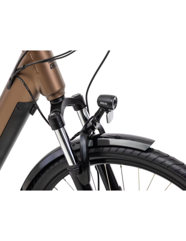 Rower elektryczny ROMET PROECO WAVE AN 1.0 26 504WH | brązowy
