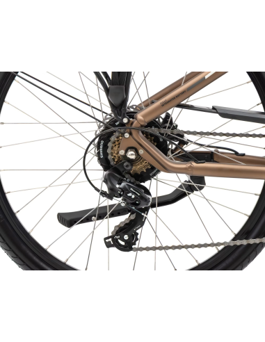 Rower elektryczny ROMET PROECO WAVE AN 1.0 26 504WH | brązowy