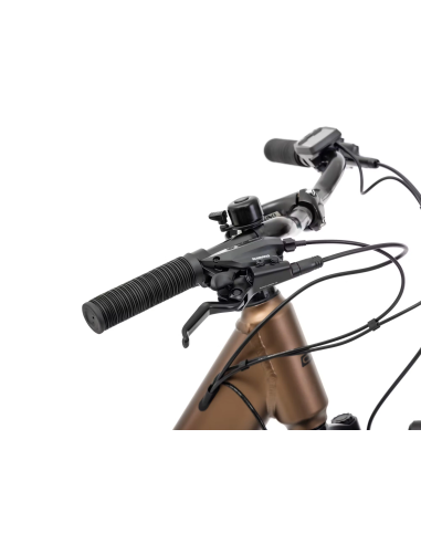 Rower elektryczny ROMET PROECO WAVE AN 1.0 26 504WH | brązowy