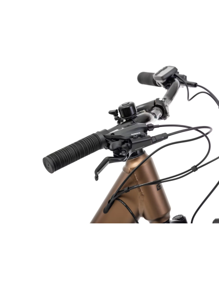 Rower elektryczny ROMET PROECO WAVE AN 1.0 26 504WH | brązowy