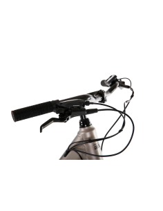 Rower elektryczny ROMET PROECO WAVE AN 1.0 26 504WH | Szampański 2